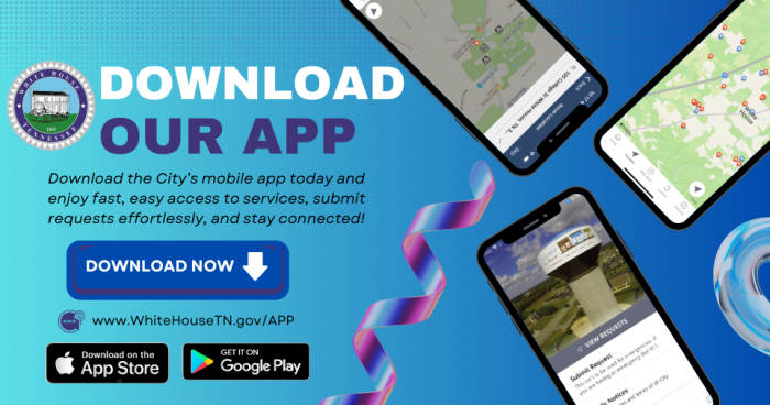 Mobile App Ad